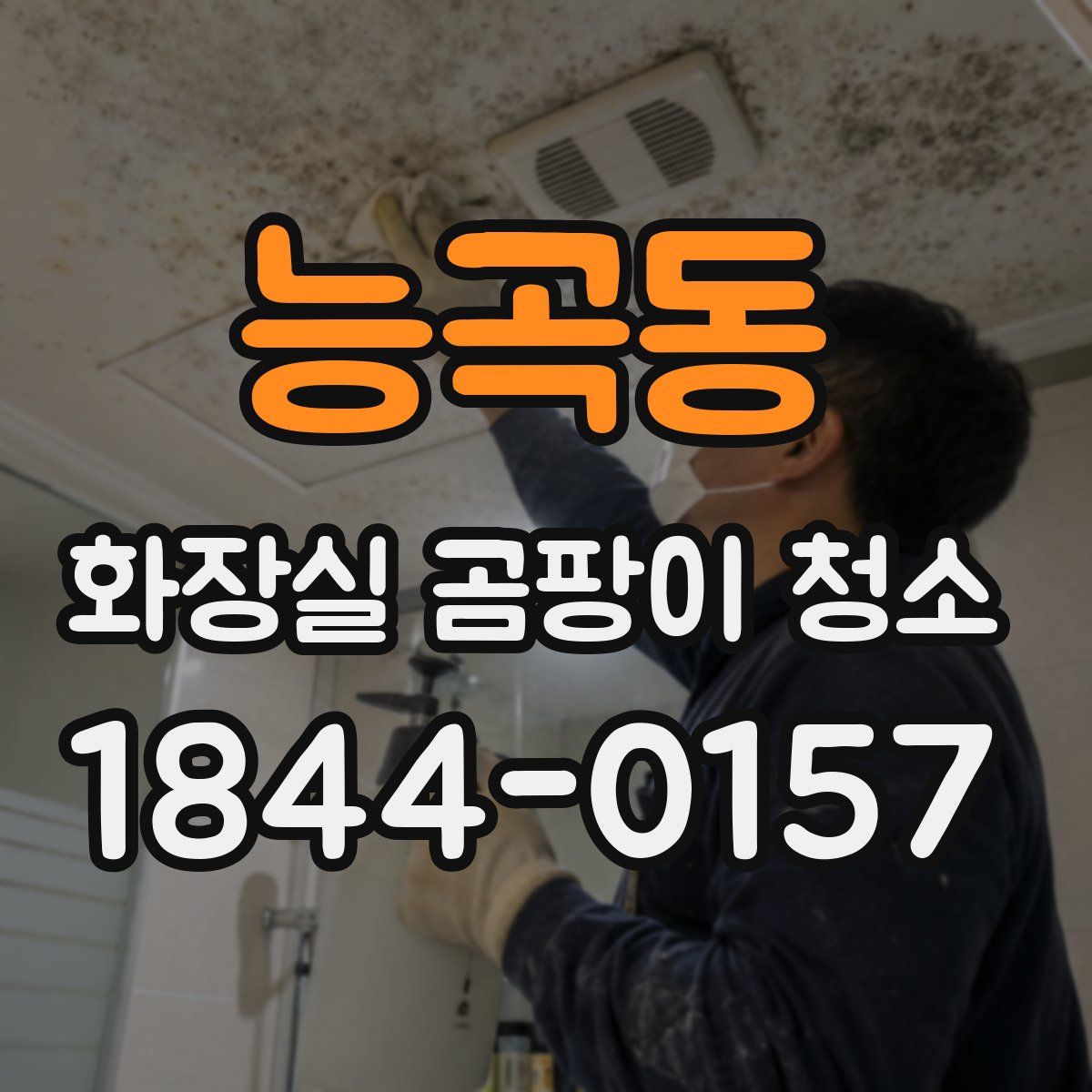 능곡동 화장실 곰팡이 청소