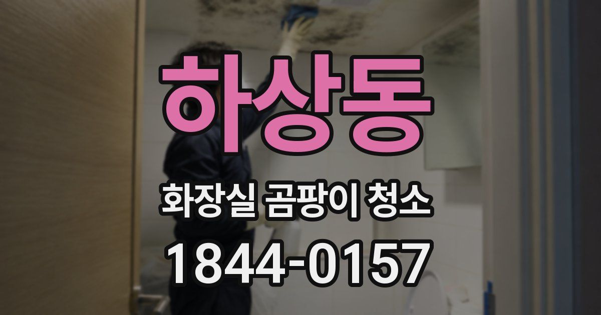 하상동 화장실 곰팡이 청소