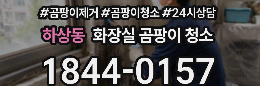 하상동 화장실 곰팡이 청소