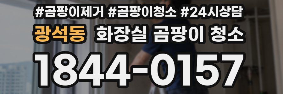 광석동 화장실 곰팡이 청소
