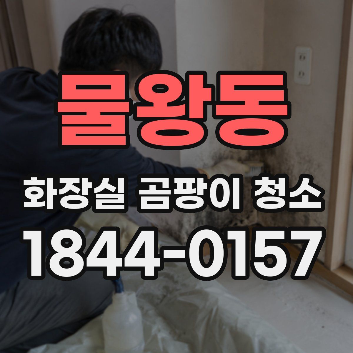 물왕동 화장실 곰팡이 청소