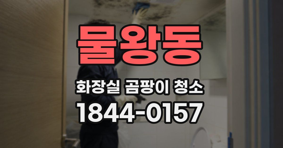 물왕동 화장실 곰팡이 청소