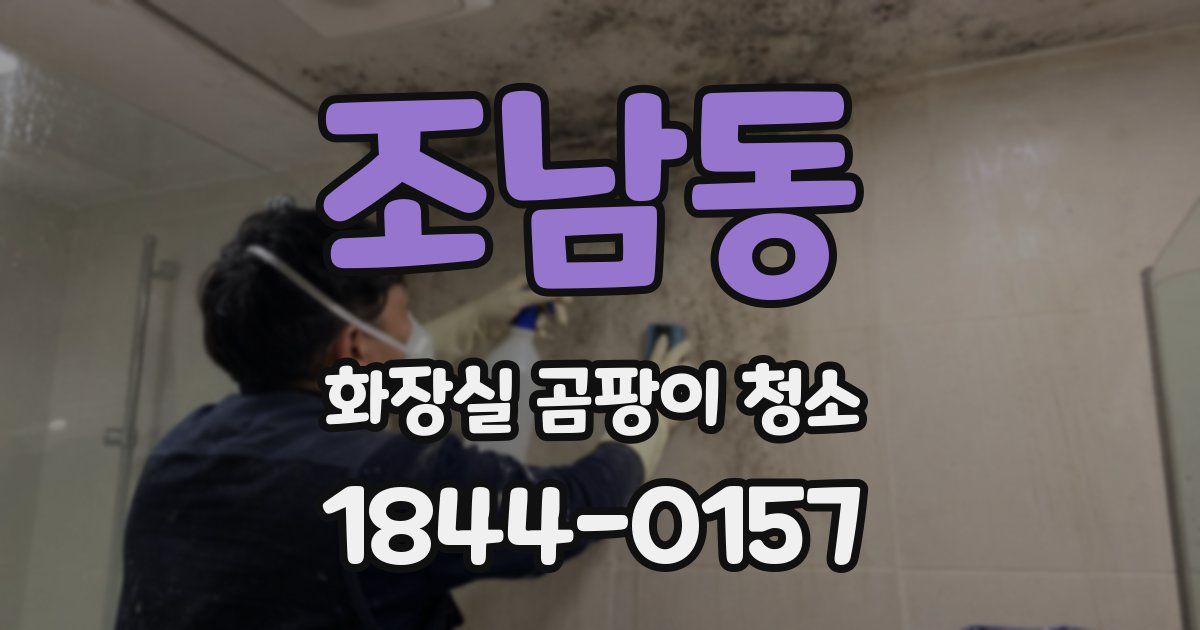 조남동 화장실 곰팡이 청소
