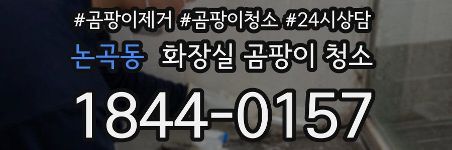 논곡동 화장실 곰팡이 청소