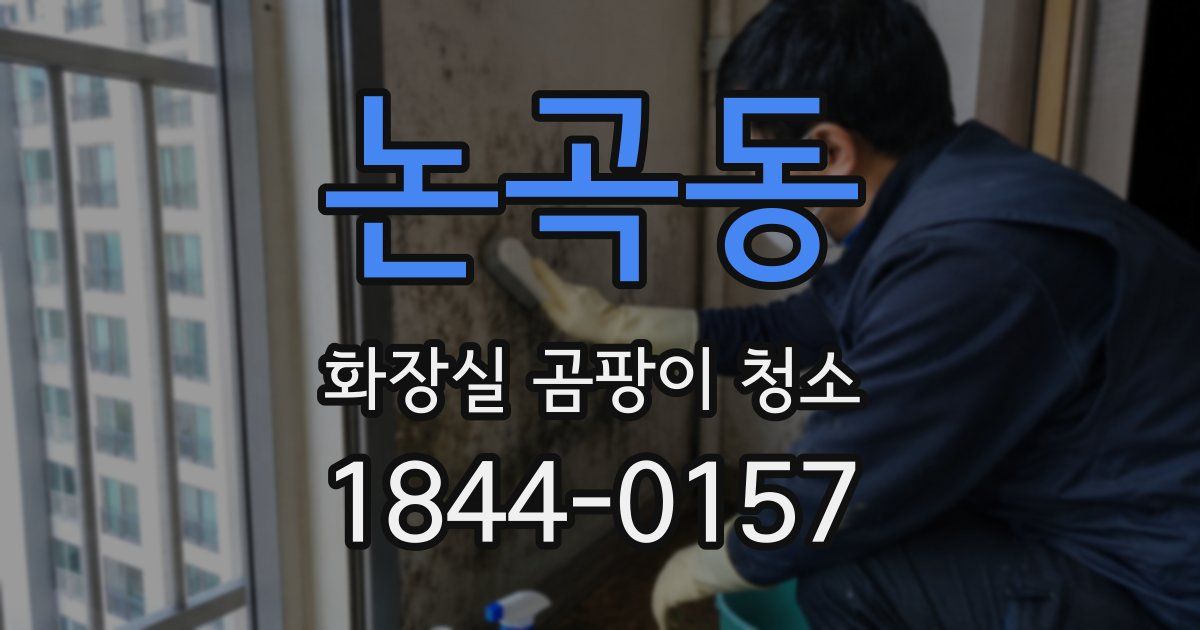 논곡동 화장실 곰팡이 청소