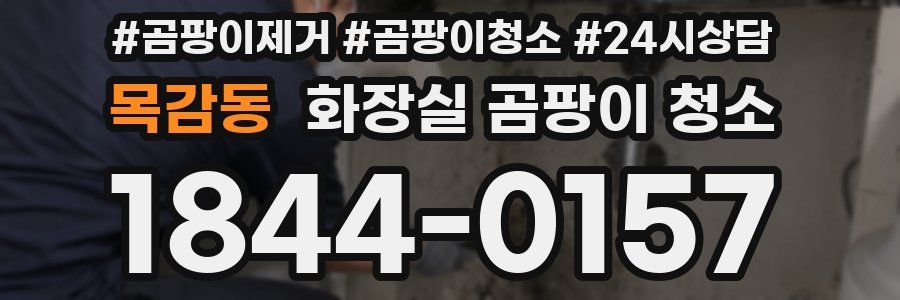 목감동 화장실 곰팡이 청소
