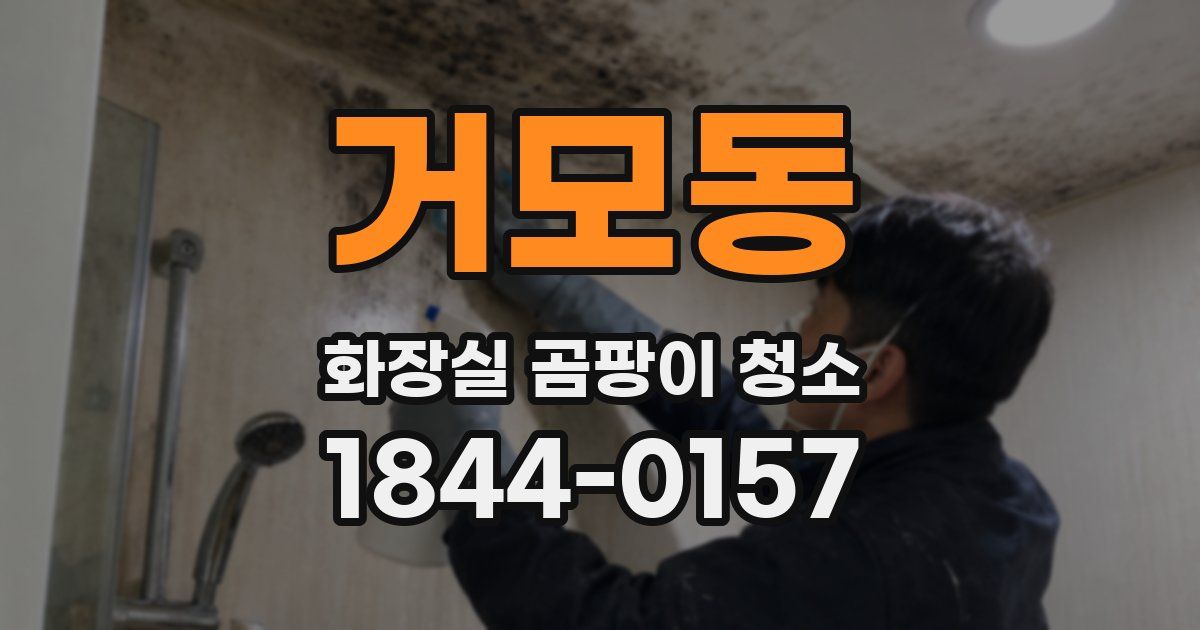 거모동 화장실 곰팡이 청소