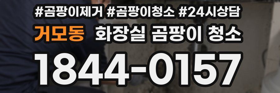 거모동 화장실 곰팡이 청소