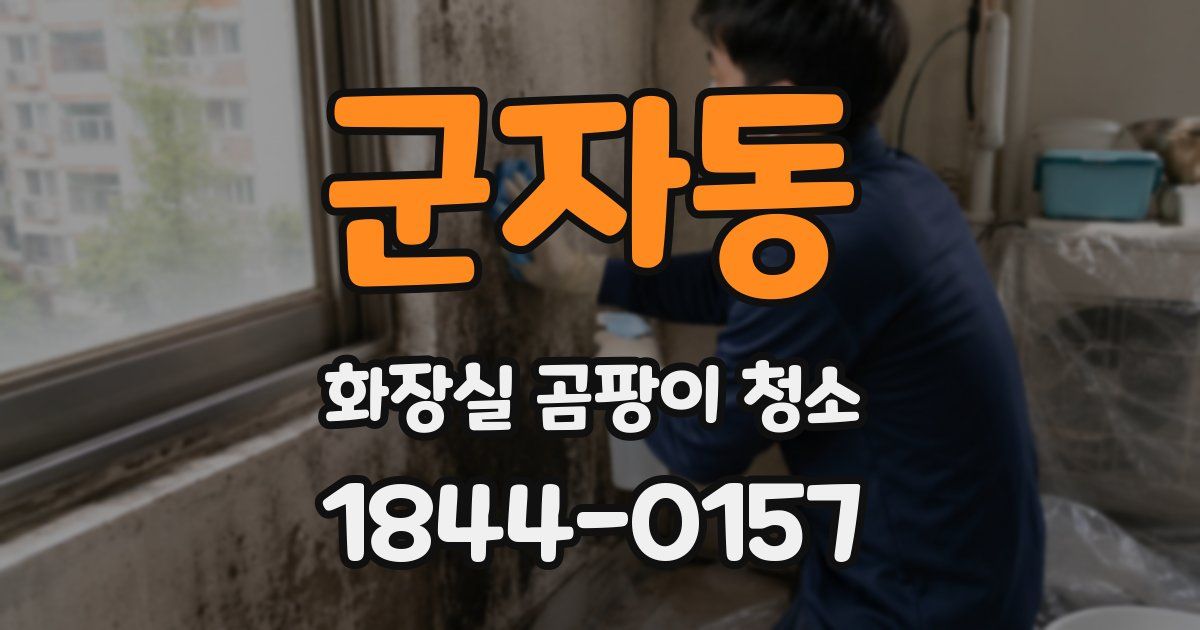 군자동 화장실 곰팡이 청소