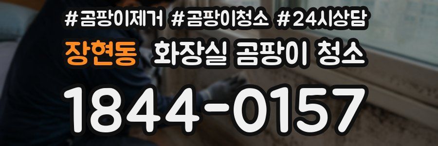 장현동 화장실 곰팡이 청소