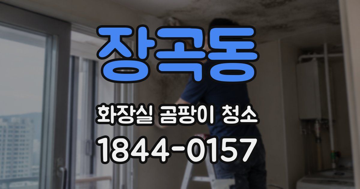 장곡동 화장실 곰팡이 청소