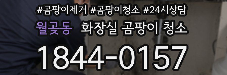 월곶동 화장실 곰팡이 청소