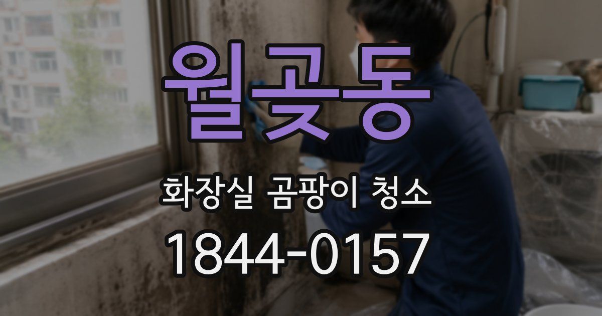 월곶동 화장실 곰팡이 청소