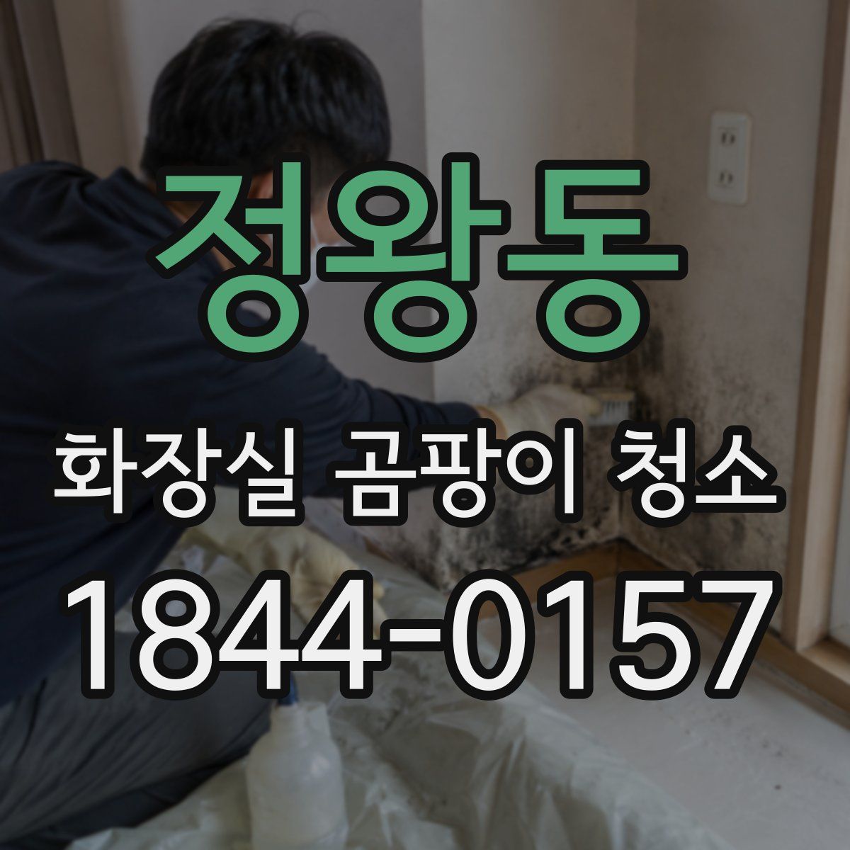 정왕동 화장실 곰팡이 청소