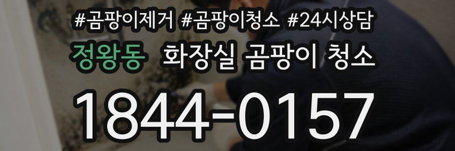 정왕동 화장실 곰팡이 청소