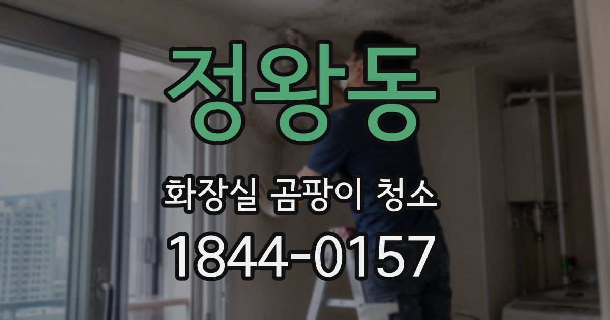 정왕동 화장실 곰팡이 청소
