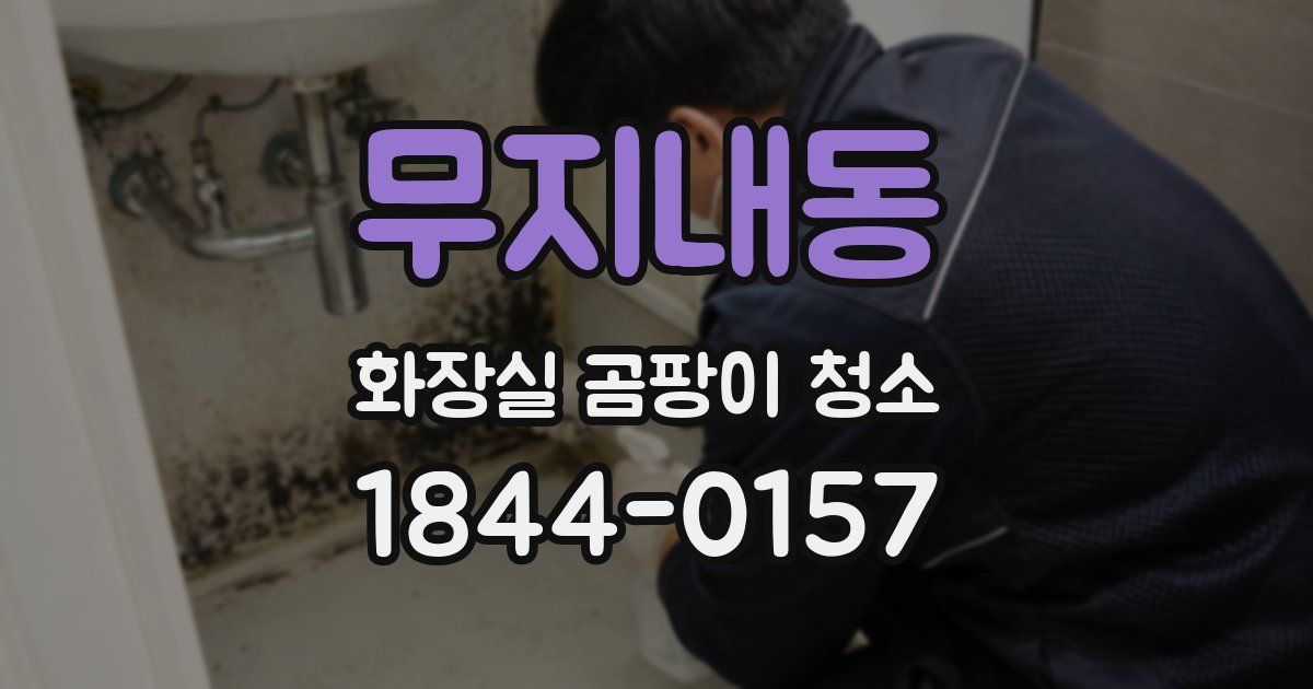 무지내동 화장실 곰팡이 청소