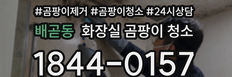 배곧동 화장실 곰팡이 청소
