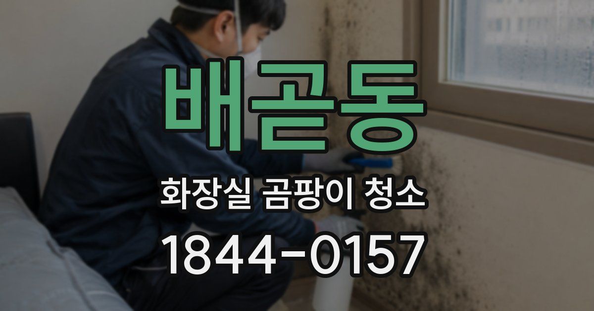 배곧동 화장실 곰팡이 청소