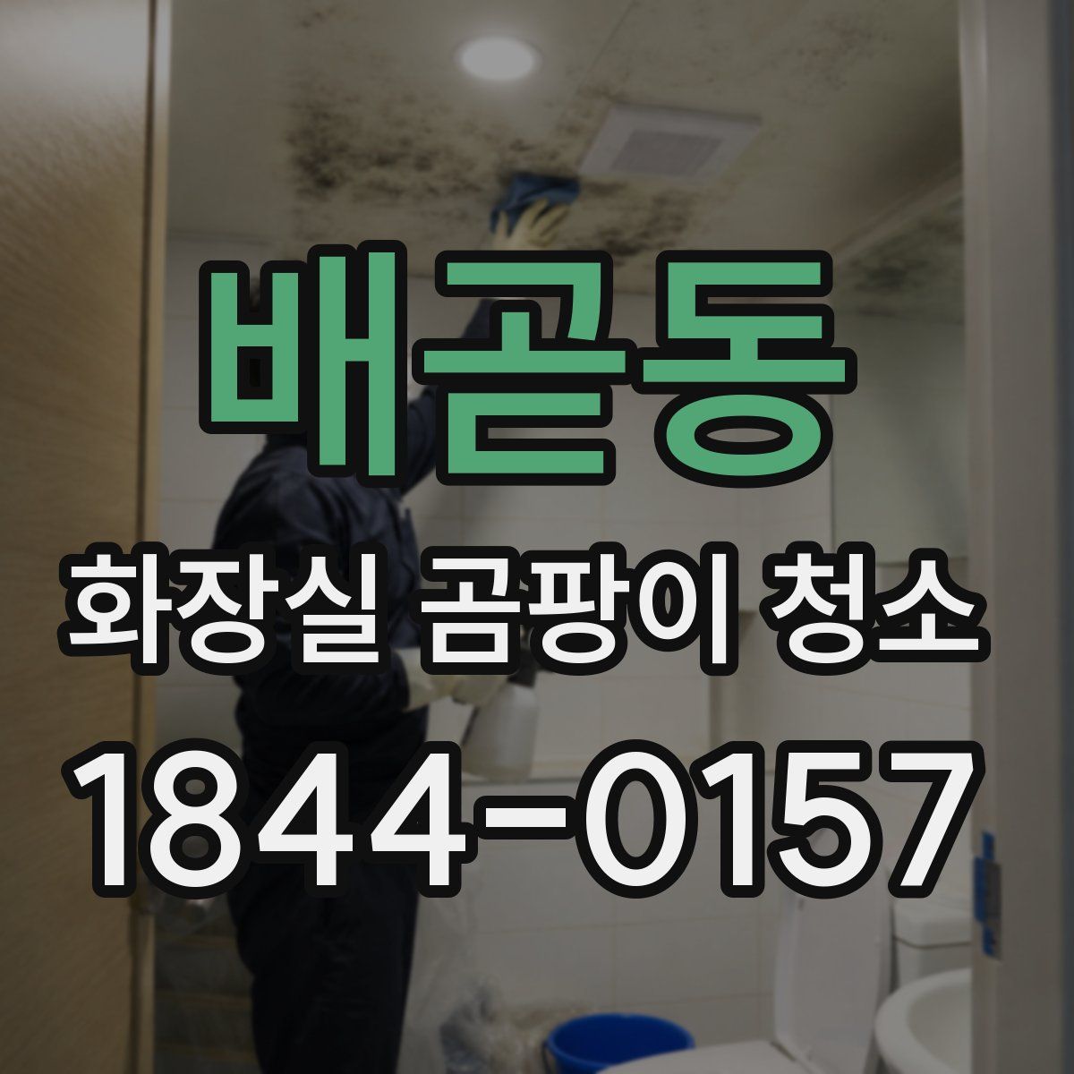 배곧동 화장실 곰팡이 청소