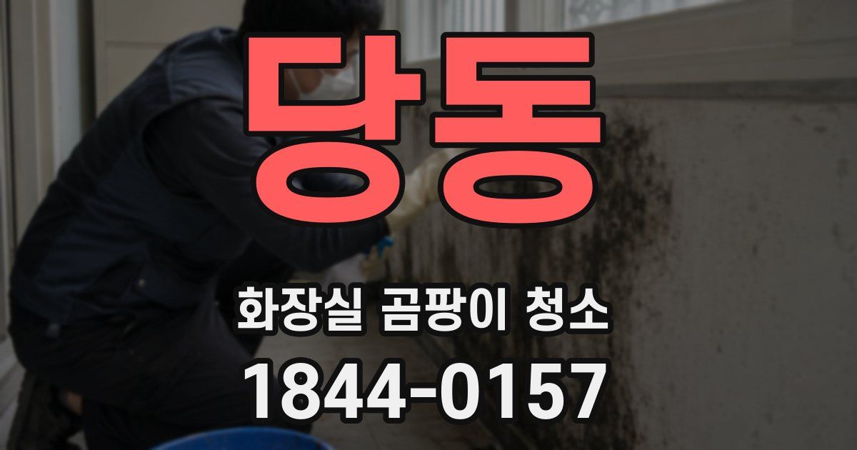 당동 화장실 곰팡이 청소