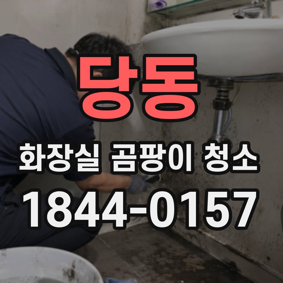 당동 화장실 곰팡이 청소