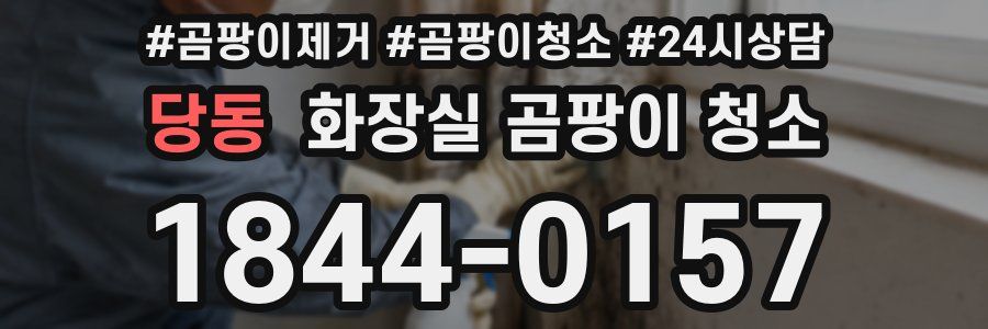 당동 화장실 곰팡이 청소