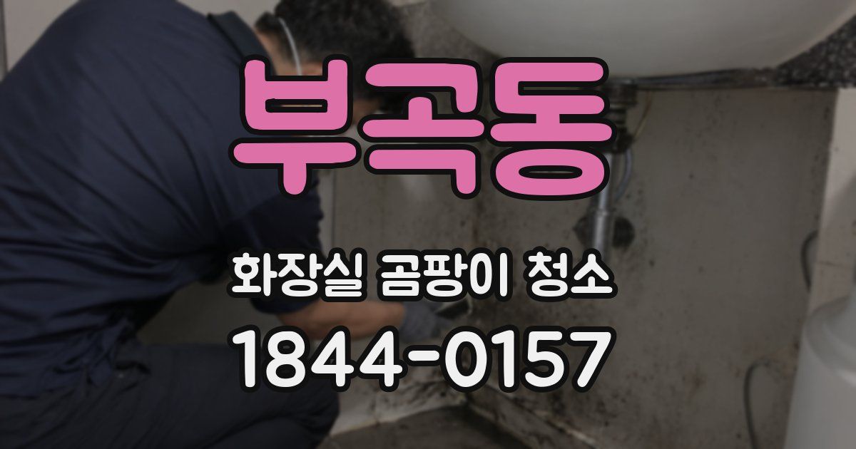 부곡동 화장실 곰팡이 청소