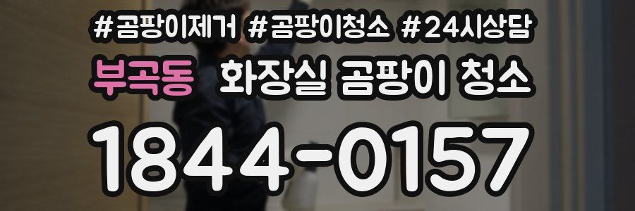 부곡동 화장실 곰팡이 청소