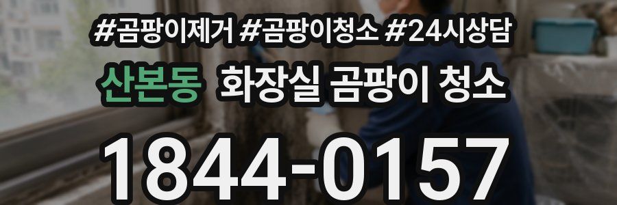 산본동 화장실 곰팡이 청소