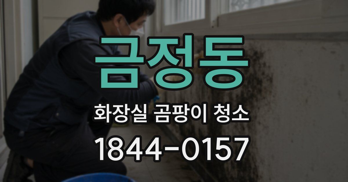 금정동 화장실 곰팡이 청소