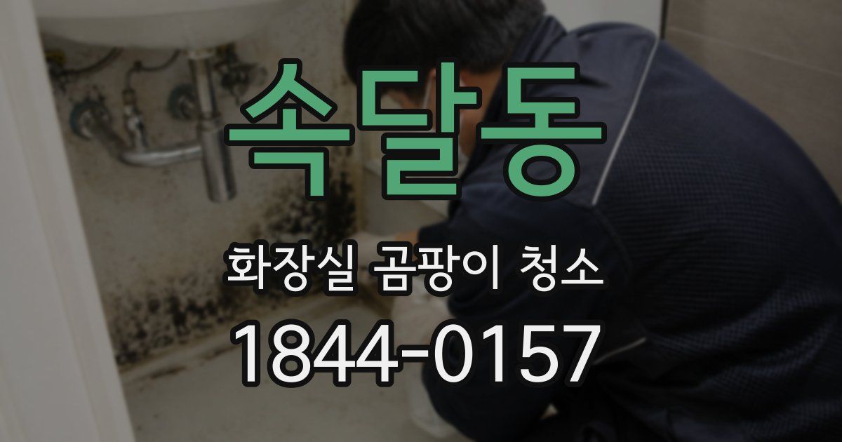 속달동 화장실 곰팡이 청소