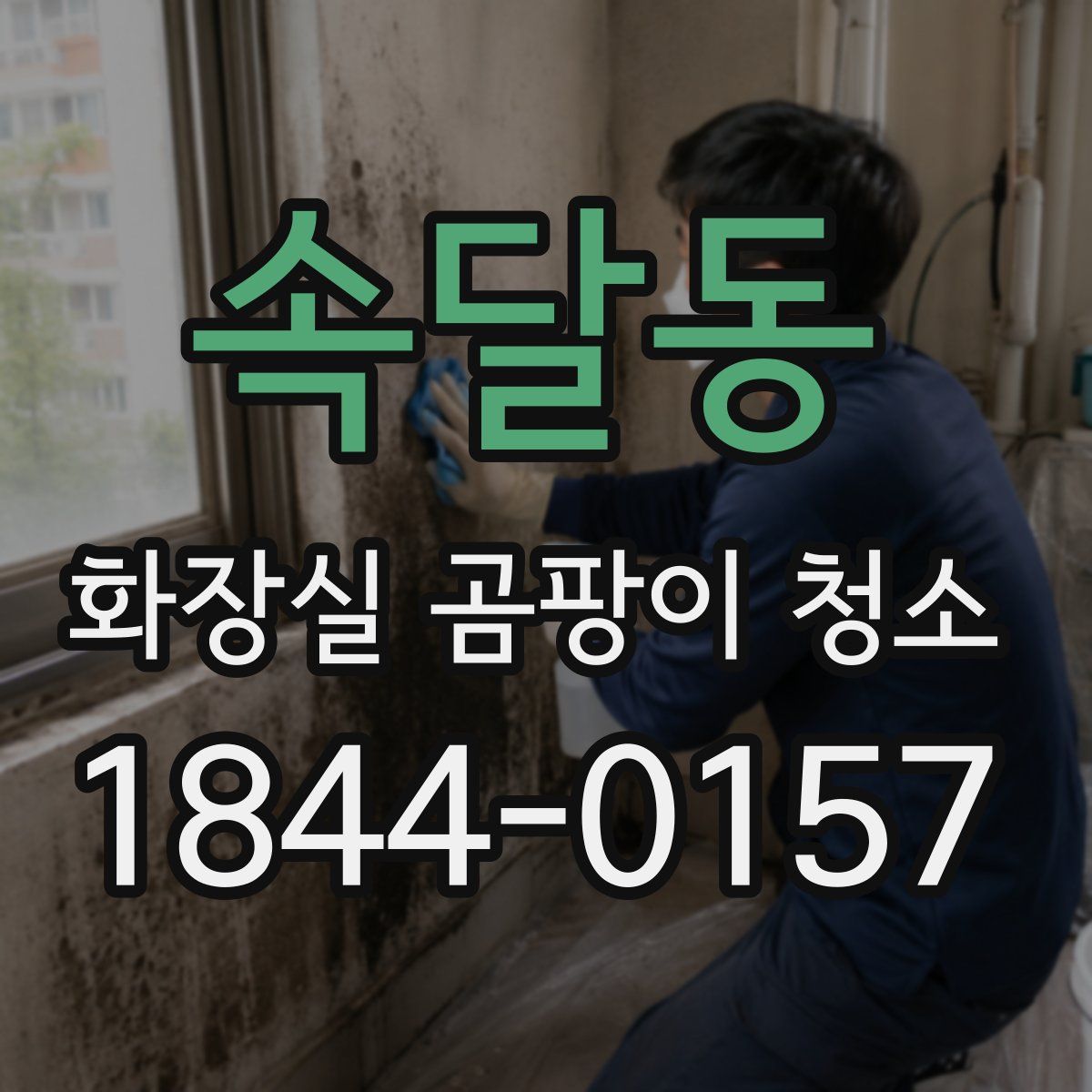 속달동 화장실 곰팡이 청소