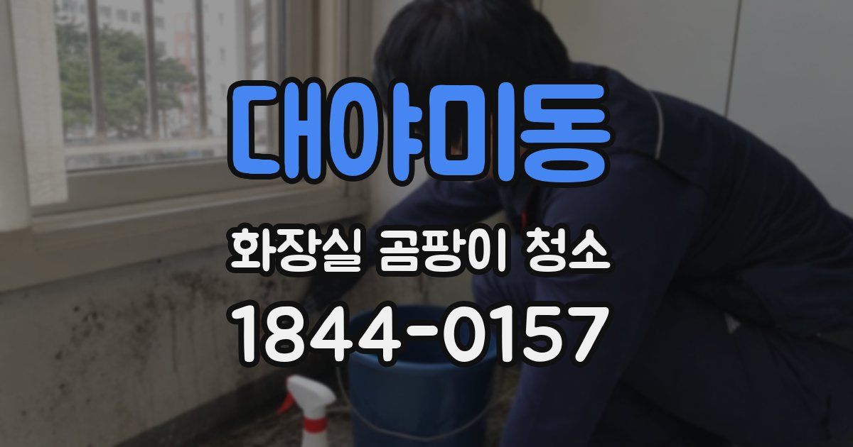 대야미동 화장실 곰팡이 청소