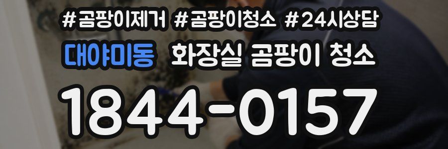 대야미동 화장실 곰팡이 청소