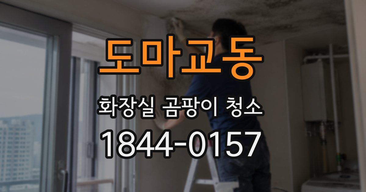 도마교동 화장실 곰팡이 청소