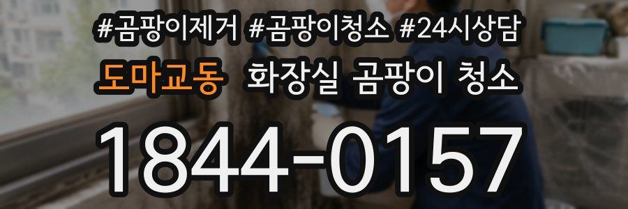 도마교동 화장실 곰팡이 청소