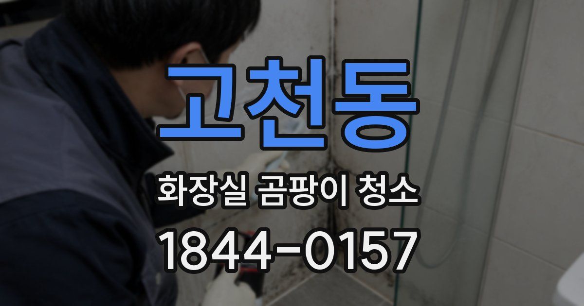 고천동 화장실 곰팡이 청소