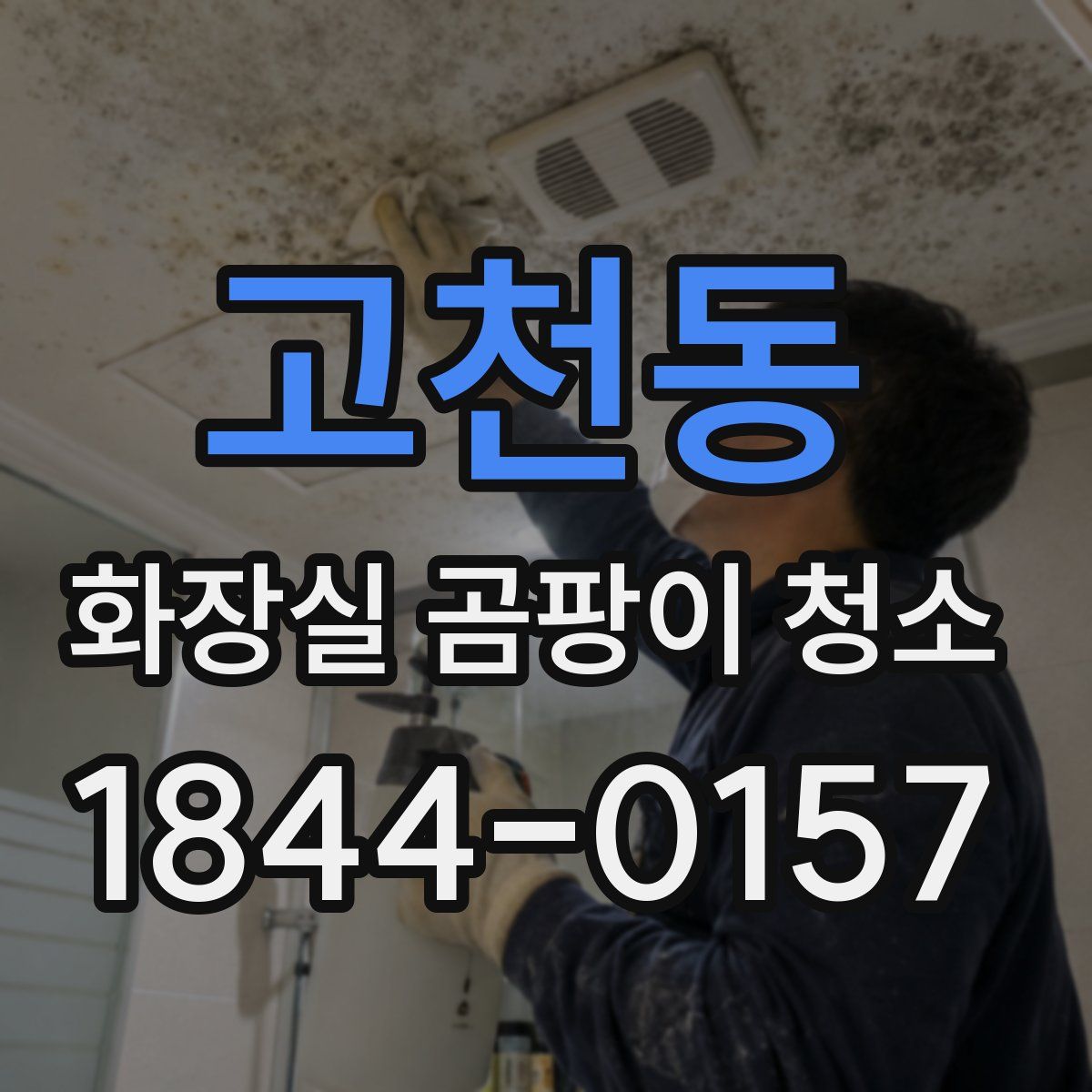 고천동 화장실 곰팡이 청소