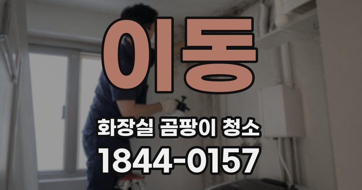 이동 화장실 곰팡이 청소