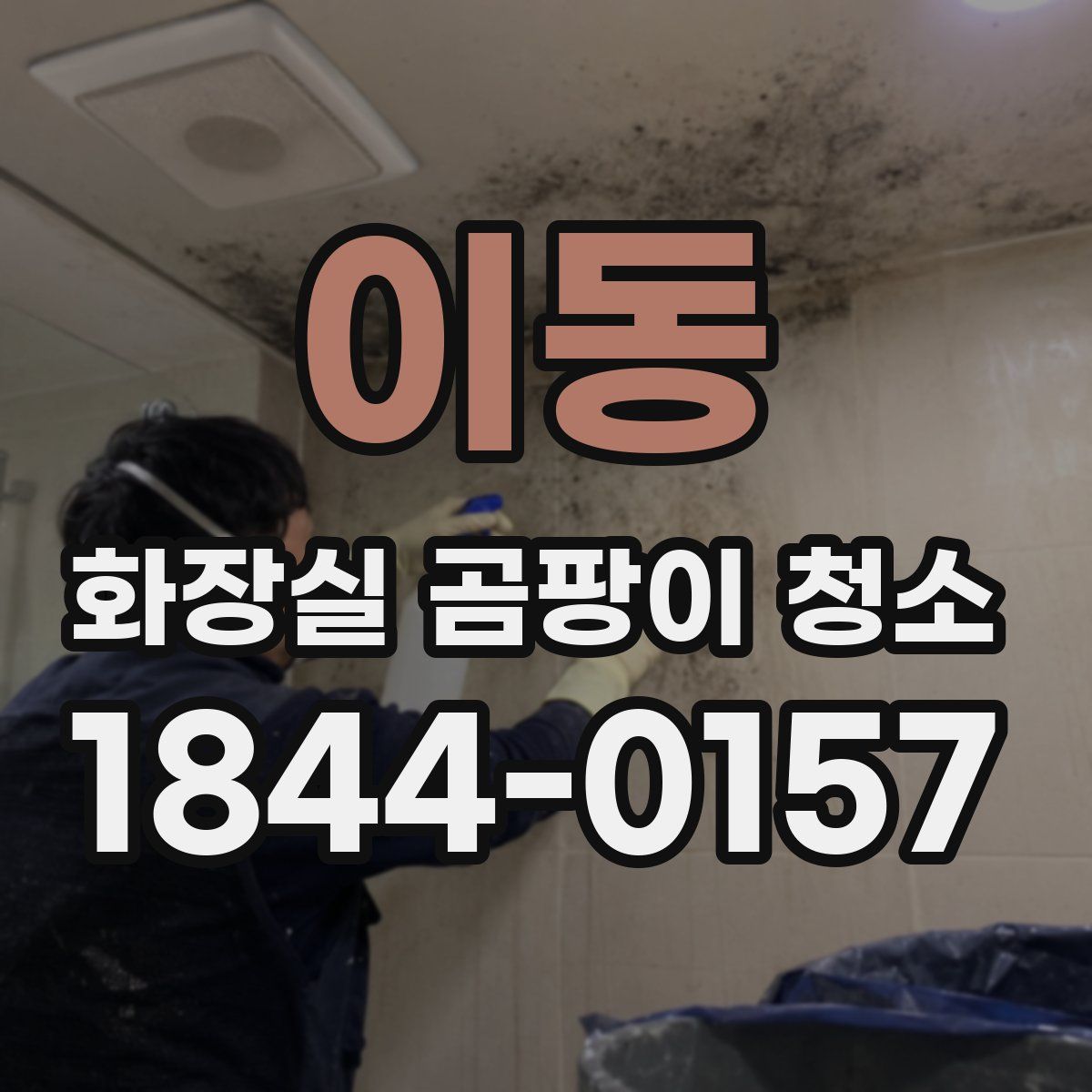 이동 화장실 곰팡이 청소