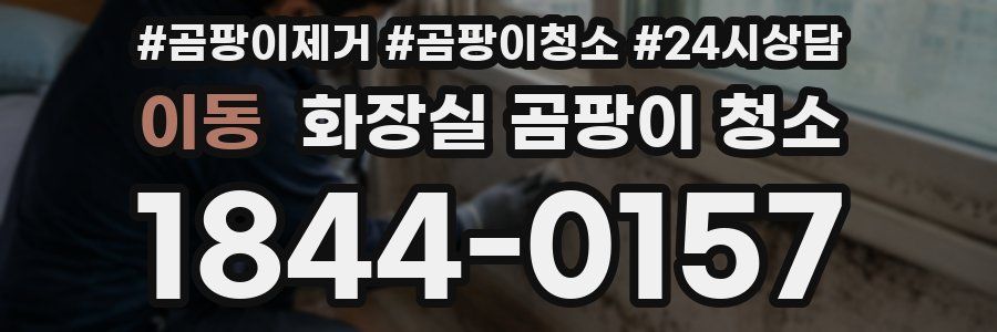 이동 화장실 곰팡이 청소