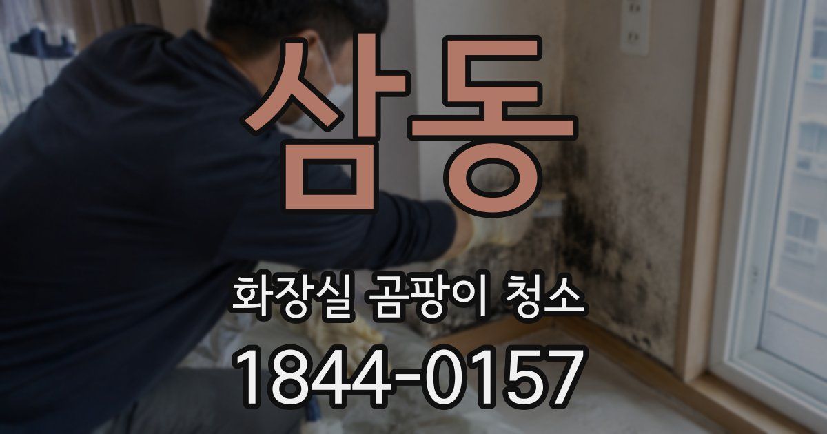 삼동 화장실 곰팡이 청소