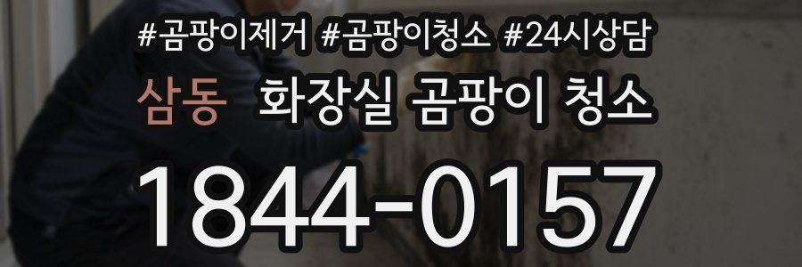삼동 화장실 곰팡이 청소
