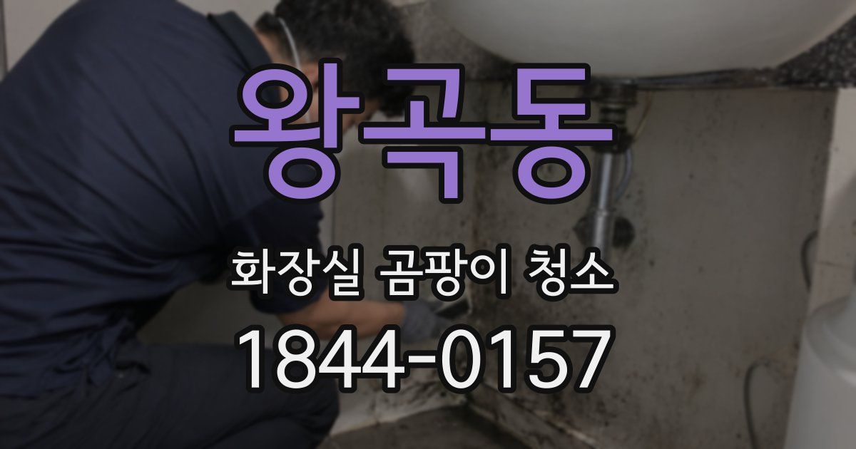 왕곡동 화장실 곰팡이 청소
