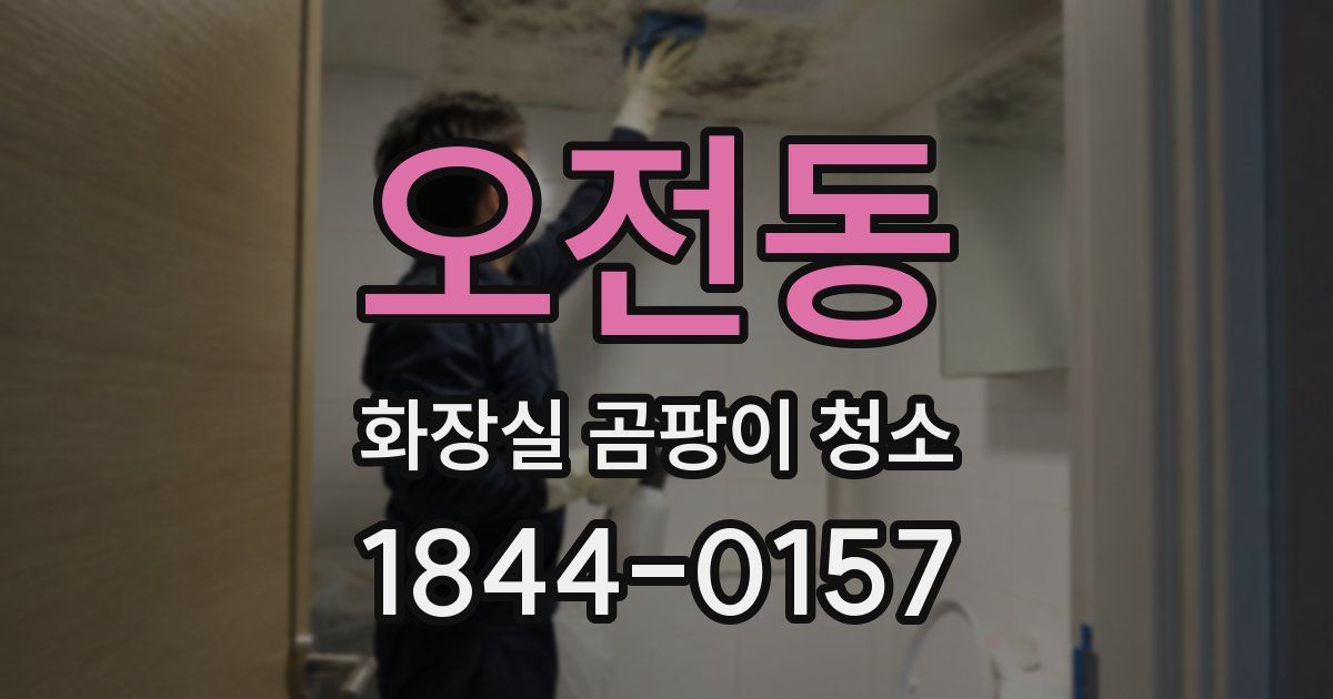 오전동 화장실 곰팡이 청소