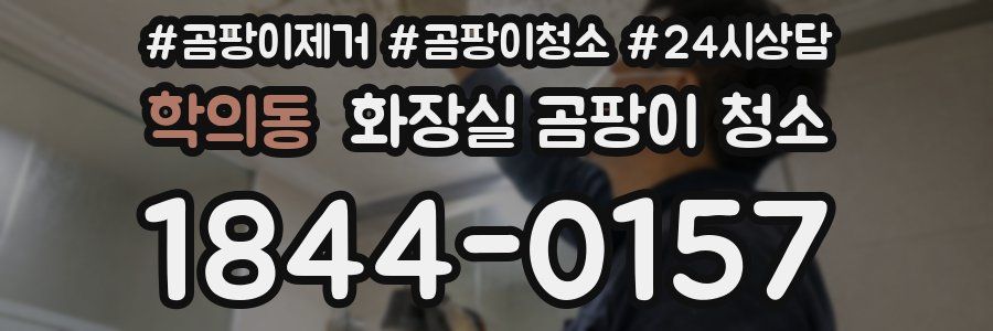 학의동 화장실 곰팡이 청소