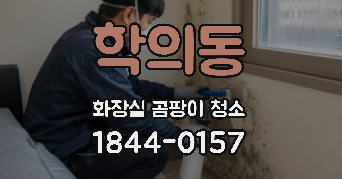 학의동 화장실 곰팡이 청소