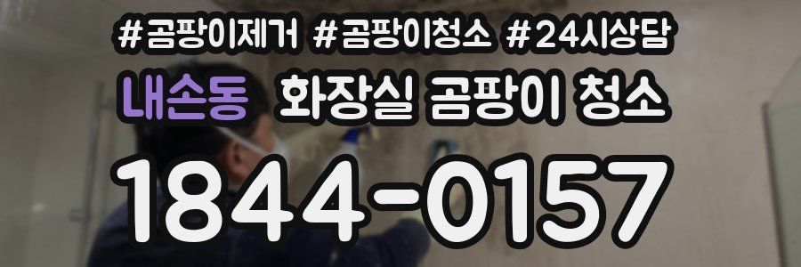 내손동 화장실 곰팡이 청소