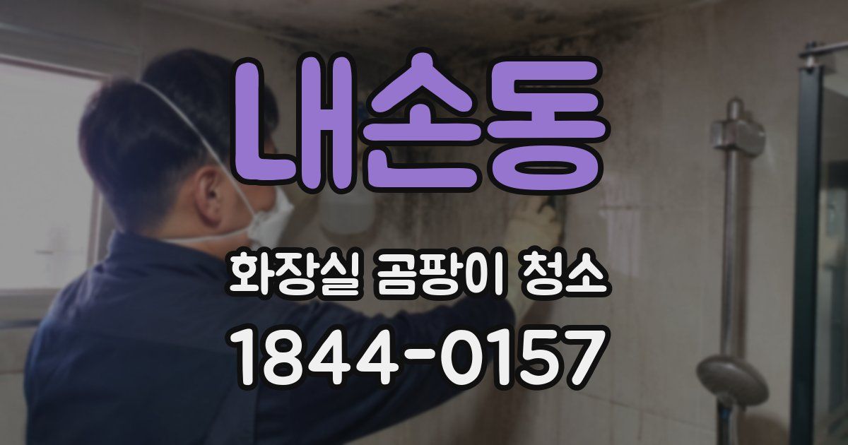 내손동 화장실 곰팡이 청소